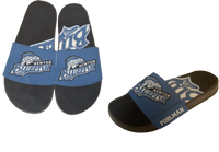 Bluefish Custom Slides