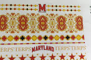University of Maryland Flash Tatoos