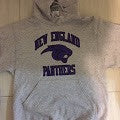 Panthers Hooded Sweatshirt (embroidered name & number)