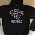 Panthers Hooded Sweatshirt (embroidered name & number)