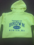 PROPERTY OF BROWN SCREEN